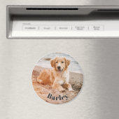 Einfache minimale Hunde Foto Name Modernes Niedlic Magnet (In Situ (Geschirrspüler))
