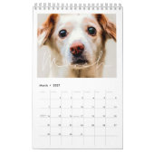 Einfache minimalistische Familienkalender 2026 Kalender (Mär 2027)