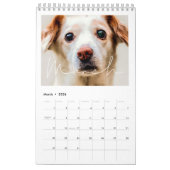 Einfache minimalistische Familienkalender 2026 Kalender (Mär 2026)