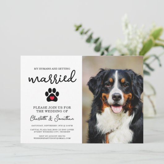 Einfache moderne Foto Dog Lover Pet Wedding Einladung (Stehend Vorderseite)
