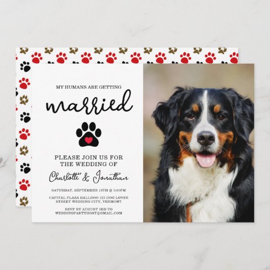 Einfache moderne Foto Dog Lover Pet Wedding Einladung (Vorne/Hinten)