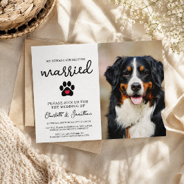 Einfache moderne Foto Dog Lover Pet Wedding Einladung