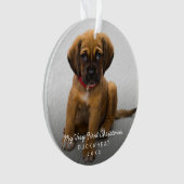 Einfache moderne Foto Welpe First Christmas Ornament (Vorderseite)