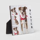 Einfache moderne Fotosammlung für Haustiere Fotoplatte (Vorderseite)