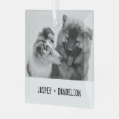 Einfache, moderne Haustiere oder Personen Ornament Aus Glas (Vorderseite links)