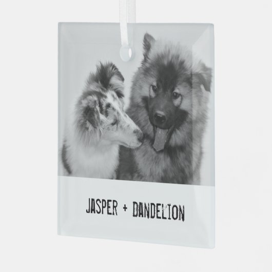 Einfache, moderne Haustiere oder Personen Ornament Aus Glas (Vorderseite links)