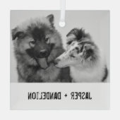 Einfache, moderne Haustiere oder Personen Ornament Aus Glas (Rückseite)