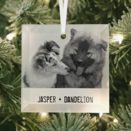 Einfache, moderne Haustiere oder Personen Ornament Aus Glas