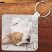 Einfache moderne Script Dog Name 2 Foto Schlüsselanhänger (Rückseite)