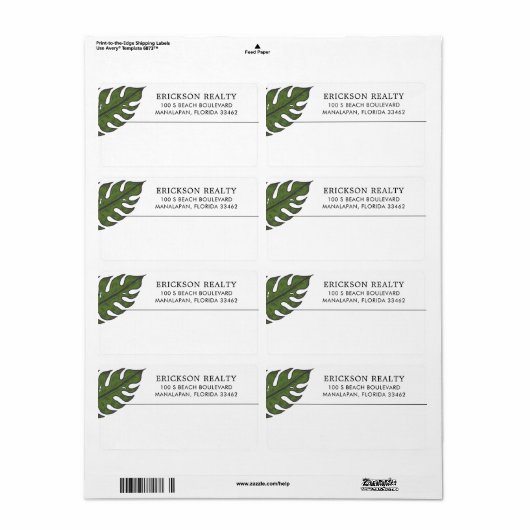 Einfache moderne tropische Schifffahrt (Vorne)