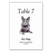 Einfache moderne Wasserfarbe Katze Hochzeit Tischnummer (Vorderseite)
