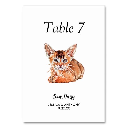 Einfache moderne Wasserfarbenkatze Tischnummer (Vorderseite)