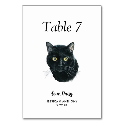 Einfache moderne Wasserfarbenkatze Tischnummer (Vorderseite)