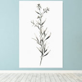 Einfache monochrome Rosemary Sketch Leinwanddruck (Insitu (Holzboden))