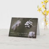 Einfache Naturfotografie mit Kiefernzapfen in näch Karte (Gelbe Blume)