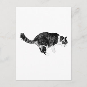 Einfache Neugier, Festliches Hallo Postkarte