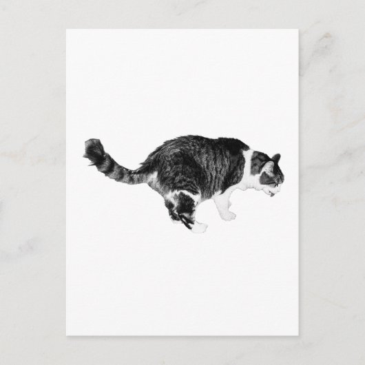 Einfache Neugier, Festliches Hallo Postkarte (Vorderseite)