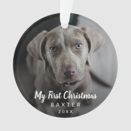 Einfache Niedliche moderne Hündin Foto meine erste Ornament
