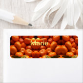 Einfache orange Frucht mit Namen minimal benutzerd (Insitu)