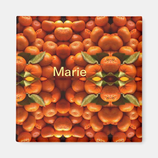 Einfache orangefarbene Früchte geben minimalen Nam Magnet (Vorne)