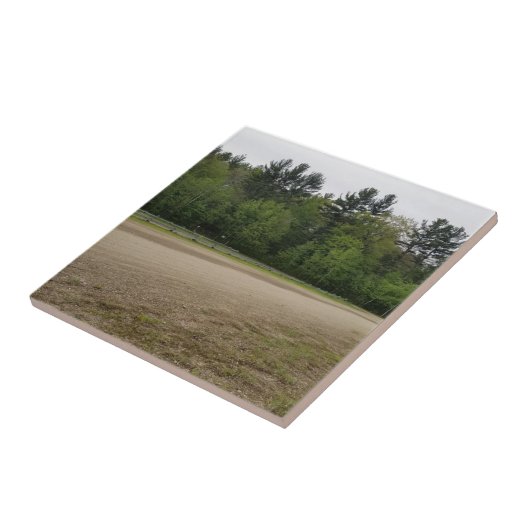 Einfache Orte Fliese (Seite)