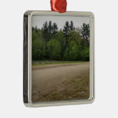 Einfache Orte Ornament Aus Metall (Rechts)
