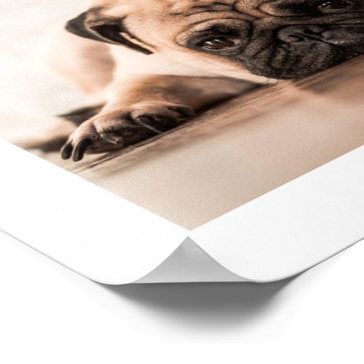 Einfache Personalisierte Begleiter Foto und Name D Poster (Ecke)