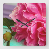Einfache Pink Peony Blume Quadratische Wanduhr (Vorderseite)