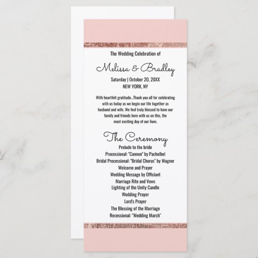 Einfache Rose Gold Blush Pink Pinselstrichprogramm Programm (Vorne/Hinten)