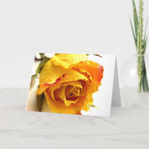 Einfache Rose Karte