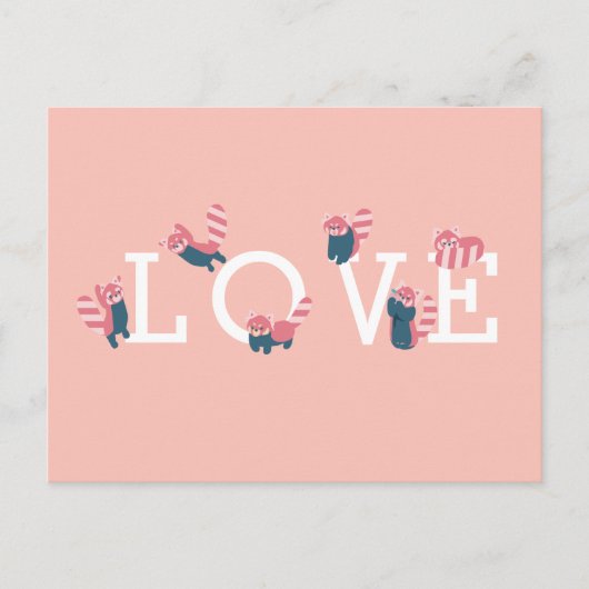 Einfache Rote Panda Rosa LIEBE Postkarte (Vorderseite)