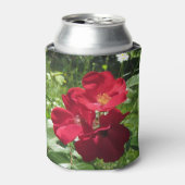 Einfache Rote Rosen Dosenkühler (Kanne Vorderseite)