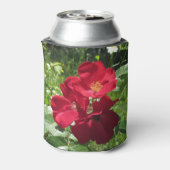 Einfache Rote Rosen Dosenkühler (Kanne Rückseite)