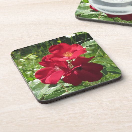 Einfache Rote Rosen Untersetzer (Linke Seite)