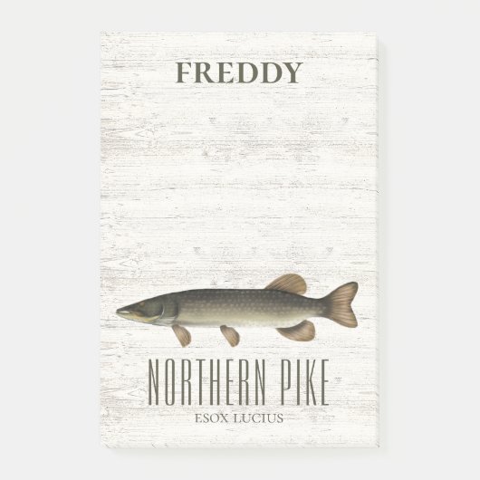 Einfache rustikale Wald Natur Fischer Nordpike Post-it Klebezettel (Vorderseite)