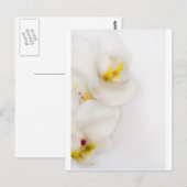 Einfache Schönheit Postkarte (Vorne/Hinten)