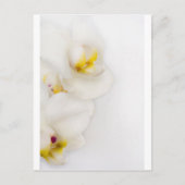 Einfache Schönheit Postkarte (Vorderseite)