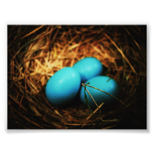 Einfache Schönheiten Fotodruck