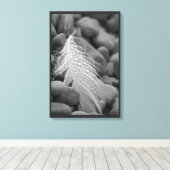 Einfache Schwarz-Weiß-Schwan-Federn Wassertropfen Leinwanddruck (Insitu (Holzboden))