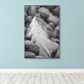 Einfache Schwarz-Weiß-Schwan-Federn Wassertropfen Leinwanddruck (Insitu (Holzboden))