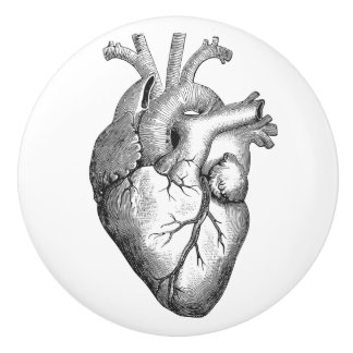 Einfache Schwarz-weiße Anatomie-Herz-Illustration Keramikknauf