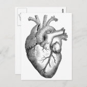 Einfache Schwarz-weiße Anatomie Herzerkrankung Postkarte (Vorne/Hinten)