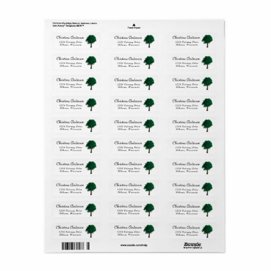 Einfache Skriptnaturwald-Struktur (Vorne)
