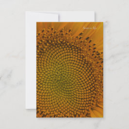 Einfache Sonnenblume nach oben nah Mitteilungskarte