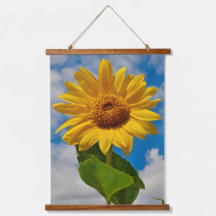 Einfache Sonnenblume Niedlich Botanische Fotografi