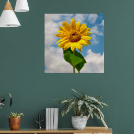 Einfache Sonnenblumenblume Botanische Fotografie C Poster