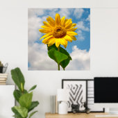Einfache Sonnenblumenblume Botanische Fotografie C Poster (Heimbüro)