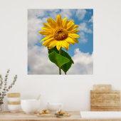 Einfache Sonnenblumenblume Botanische Fotografie C Poster (Küche)