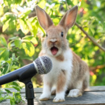 Einfache Suche nach Gepäckanhänger