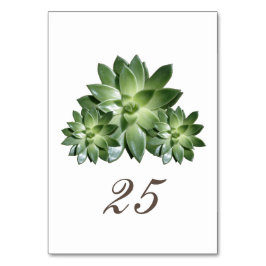 Einfache Sukkulente Hochzeitskarte Tischnummer